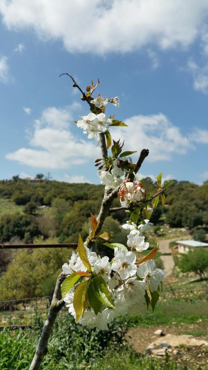 פסגת מתת Pisgat Mattat Vila Exterior foto